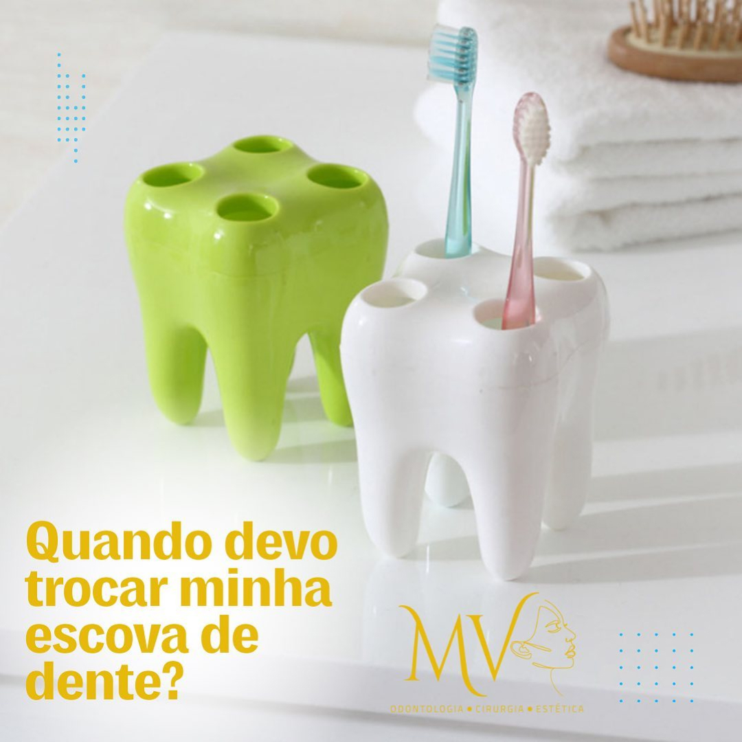 Quando trocar a escova ?-Saiba mais